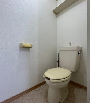 ファミール大福寺のトイレ写真
