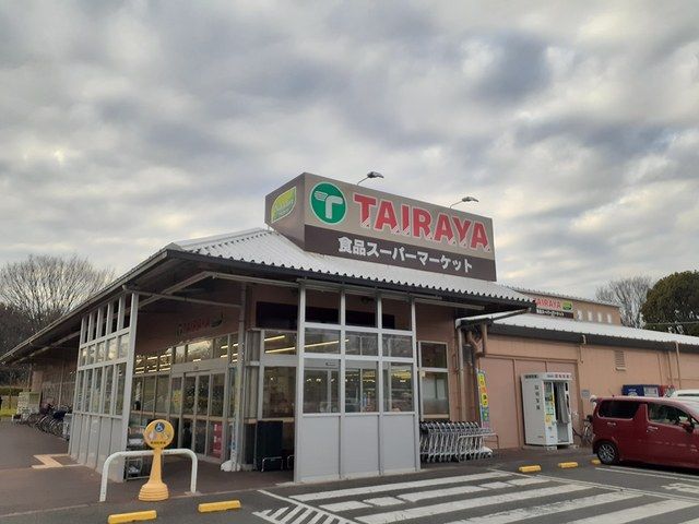 スーパー　TAIRAYA（スーパー）まで780m