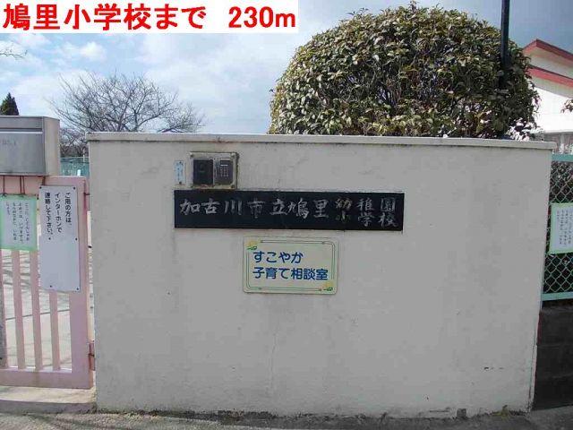 小学校　鳩里小学校（小学校）まで230m