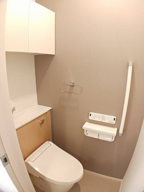 メゾン グレーヌ王子町IIのトイレ写真