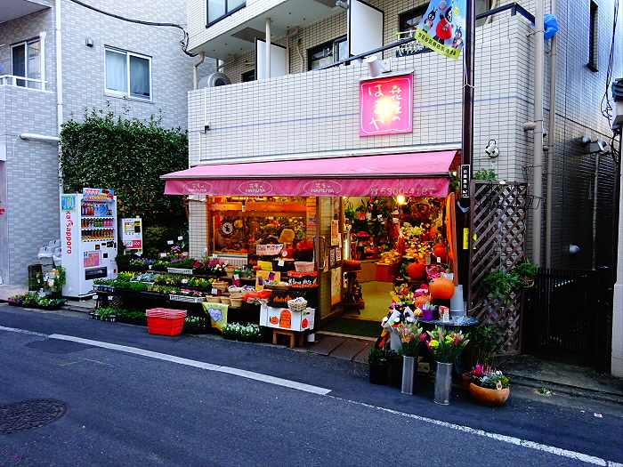 京王線 下高井戸駅 徒歩2分 2階建 新築の周辺写真