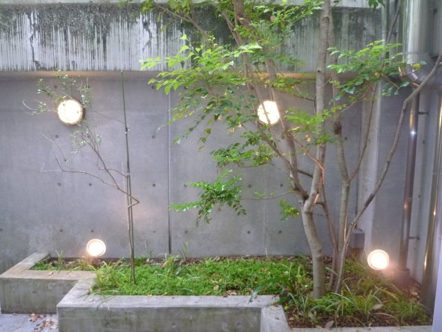 庭