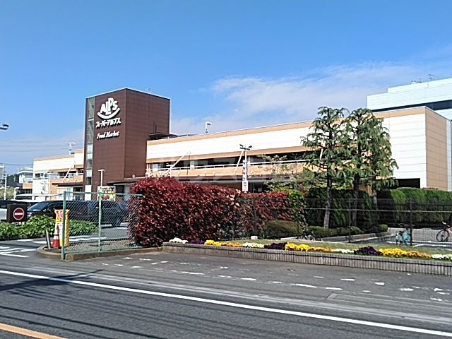 スーパー　スーパーアルプス日野店（スーパー）まで700m
