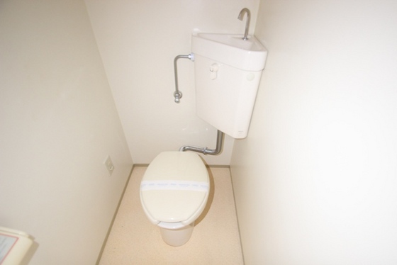 トイレ　※別号室の写真です