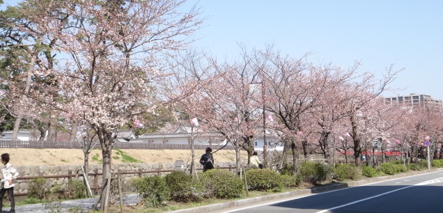 公園　小田原城址公園（公園）まで420m