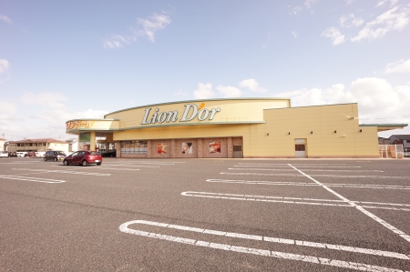 スーパー　リオン・ドール寺尾店（スーパー）まで717m