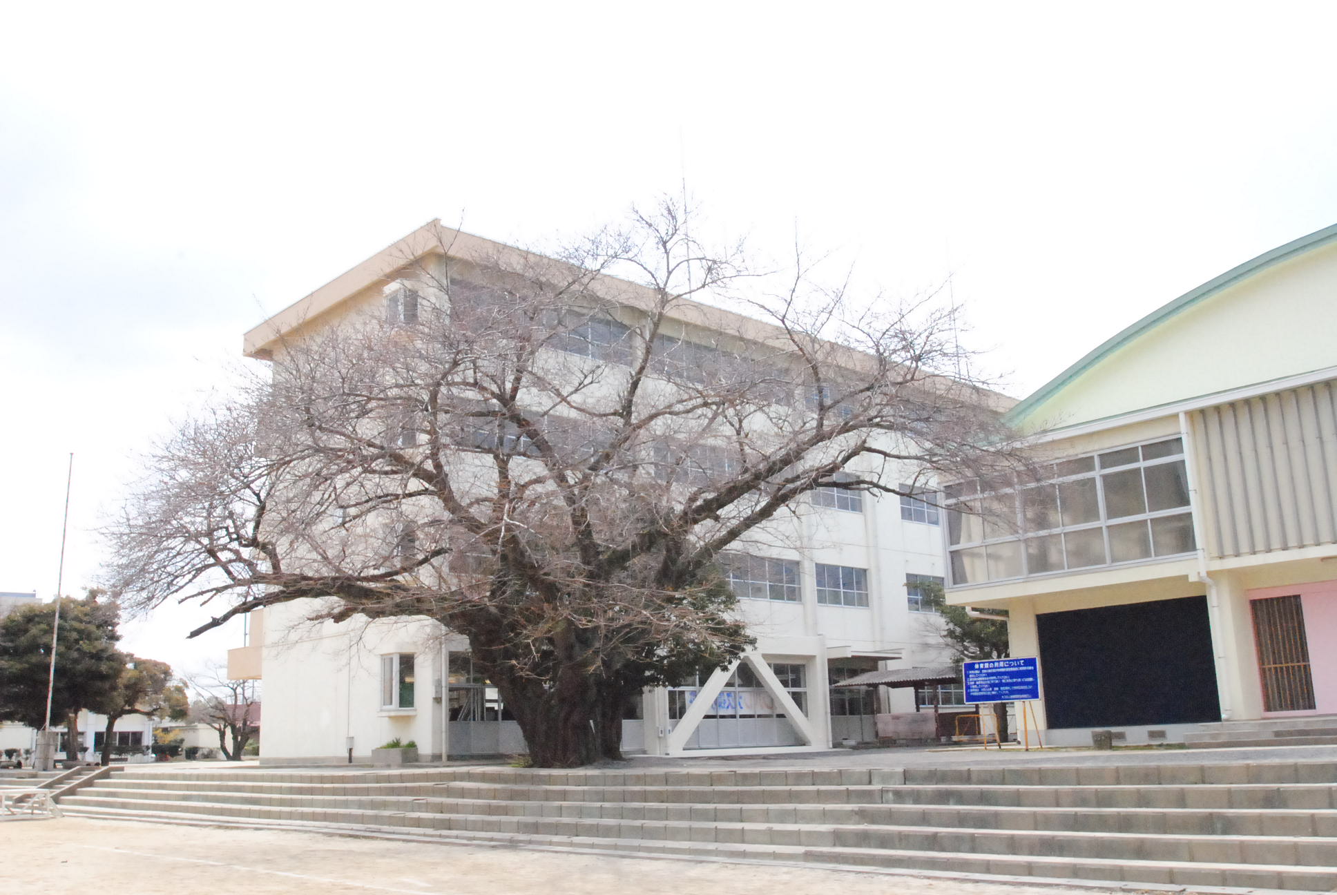 【スカイコートの小学校】