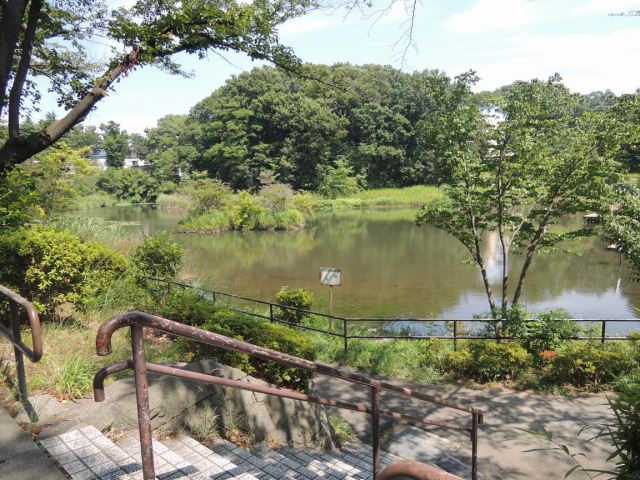 【プラシードの公園】