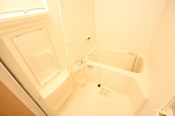 バス・シャワールーム　※別部屋の写真です