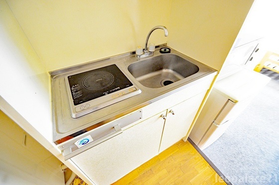 キッチン　※他号室の写真です。