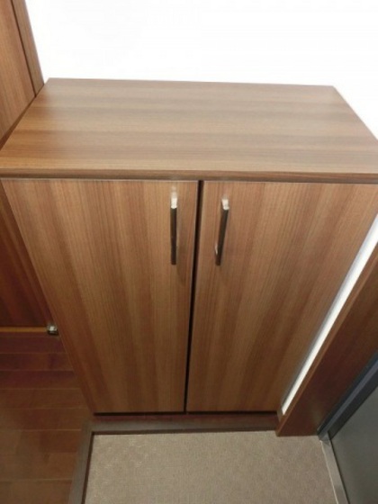 玄関　他号室のお写真です