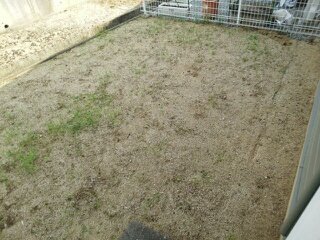 庭　お庭で自由な時間を過ごせます