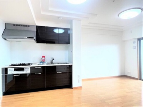 居室・リビング　他号室のお写真です