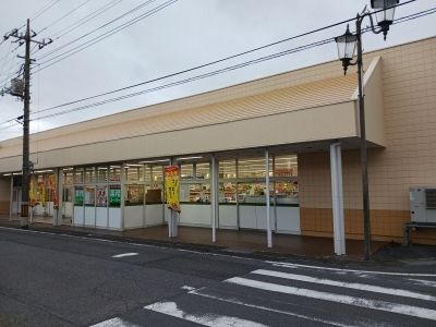 スーパー　業務スーパー元総社店（スーパー）まで260m