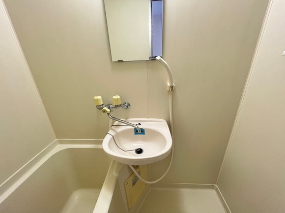 洗面設備　※他号室の写真です