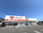 ドラックストア　くすりのレデイ 田宮街道店（ドラッグストア）まで581m