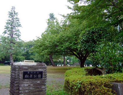 公園　桐原公園（公園）まで642m