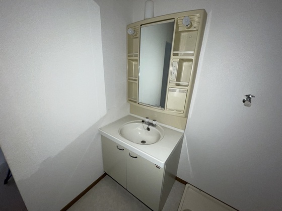 洗面設備　※別部屋の写真です