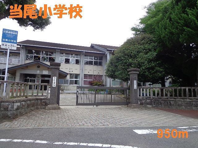 小学校　当尾小学校（小学校）まで950m