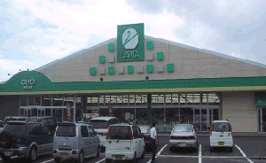 スーパー　ラピタ みなみ店（スーパー）まで541m