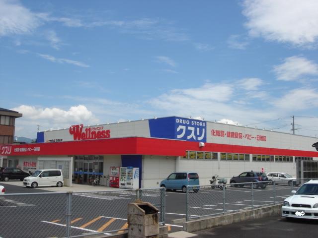 ドラックストア　ウェルネス 出雲駅南店（ドラッグストア）まで787m