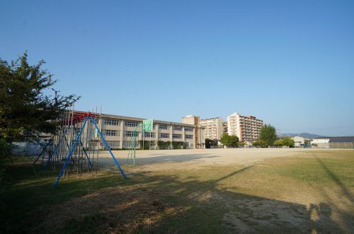 小学校　耳成西小学校（小学校）まで974m
