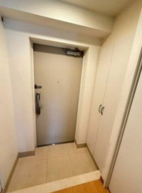 玄関　同仕様タイプ