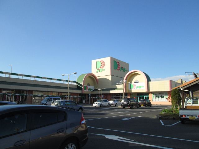 スーパー　ドミー（スーパー）まで1600m