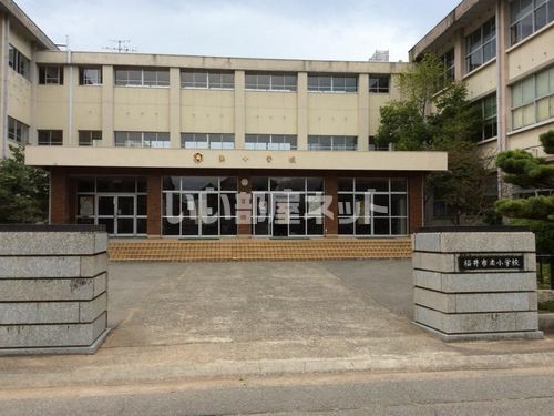 小学校　福井市立湊小学校（小学校）まで782m