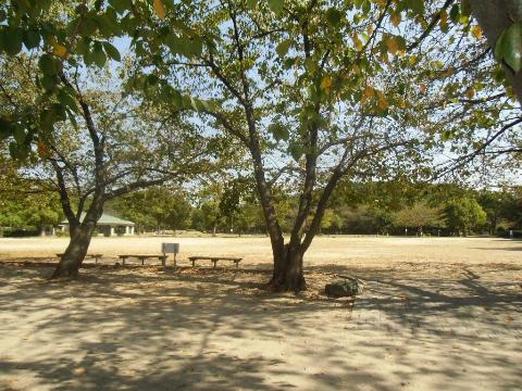 その他　二子山公園（その他）まで531m
