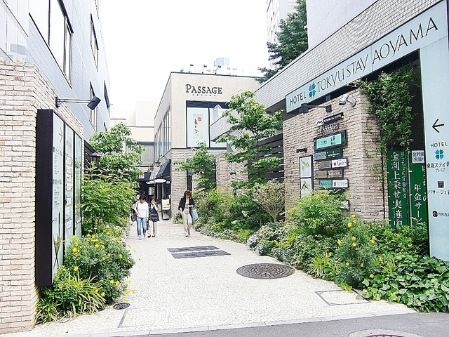 ショッピングセンター　パサージュ青山（ショッピングセンター）まで508m