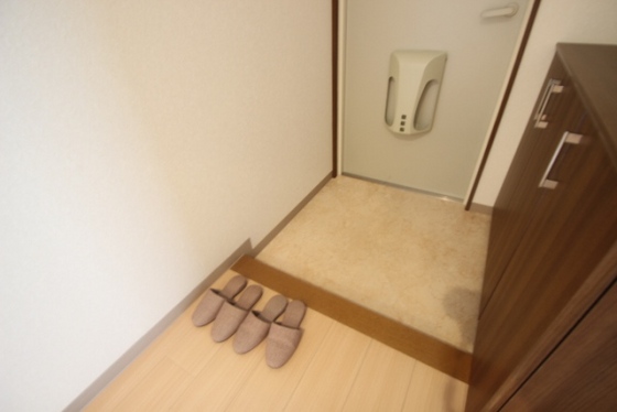 玄関　※別号室の写真です。