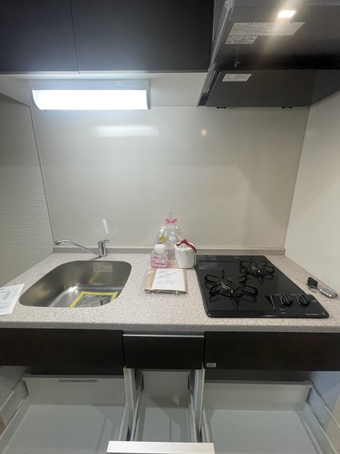 キッチン　同物件別号室のものです。