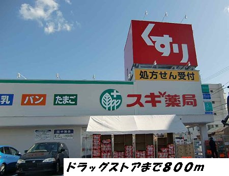 ドラックストア　スギ薬局（ドラッグストア）まで800m