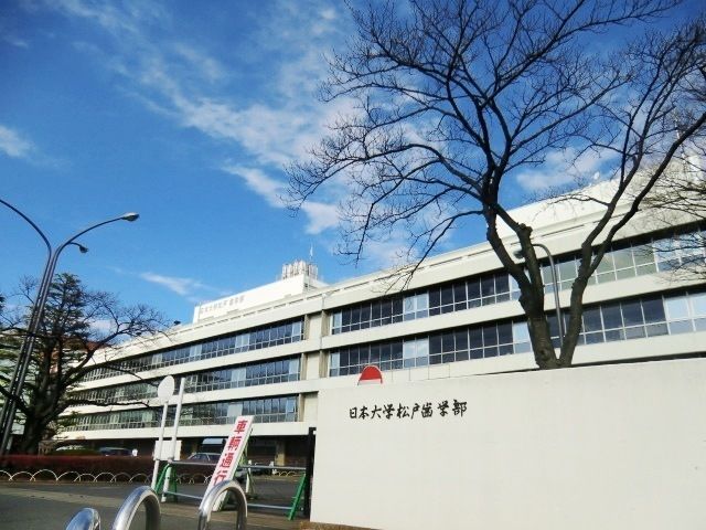 その他　日本大学歯学部（その他）まで600m