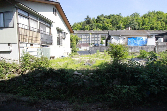 眺望　※別部屋の写真です