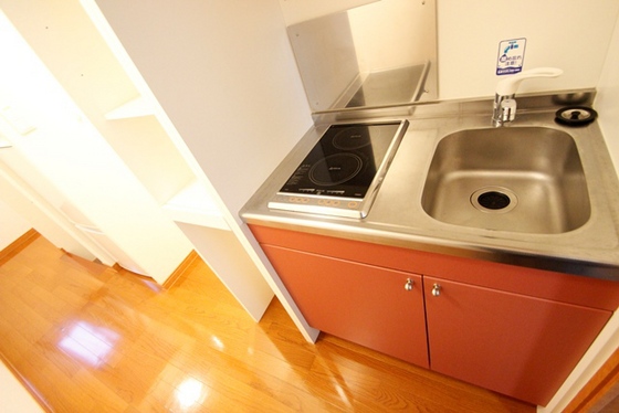 キッチン　※別号室の写真です