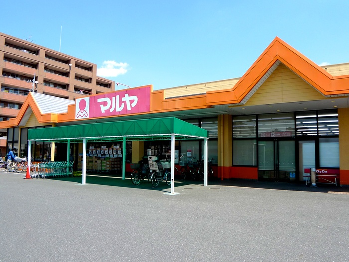 スーパー　マルヤ（スーパー）まで500m