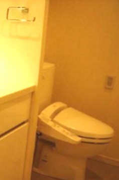 トイレ　※同仕様写真含む