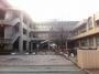 小学校　熊本市立長嶺小学校（小学校）まで600m