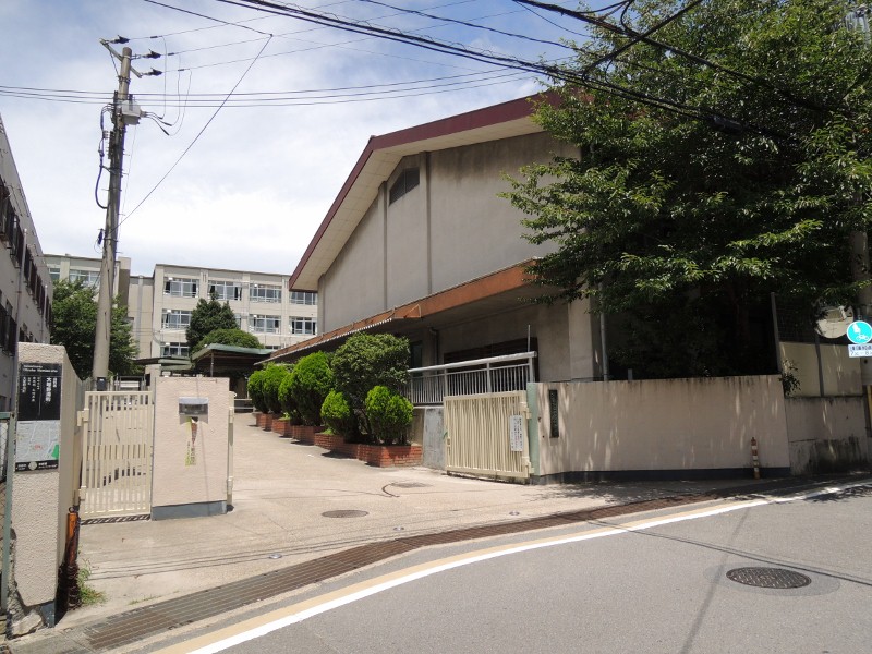 中学校　音羽中学校（中学校）まで449m