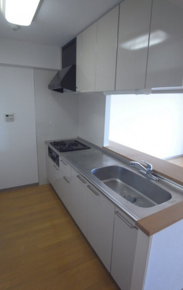 キッチン　ロングエイトIII