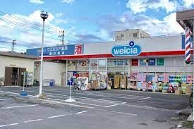 ドラックストア　ウエルシア南行徳店（ドラッグストア）まで729m