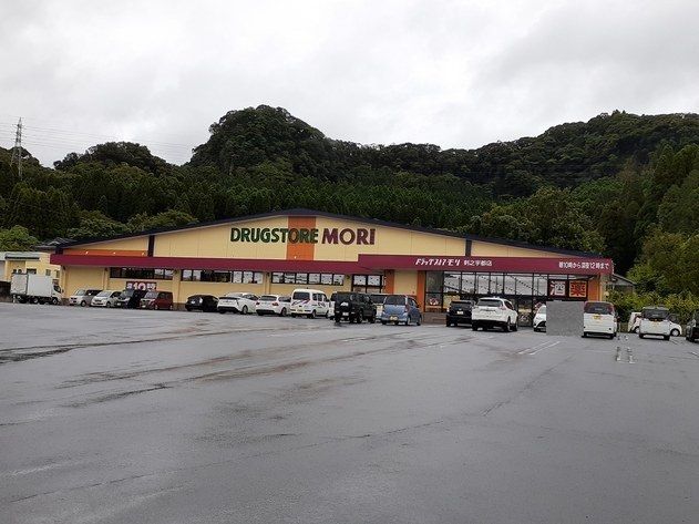 ドラックストア　ドラッグストアモリ剣之宇都店（ドラッグストア）まで650m