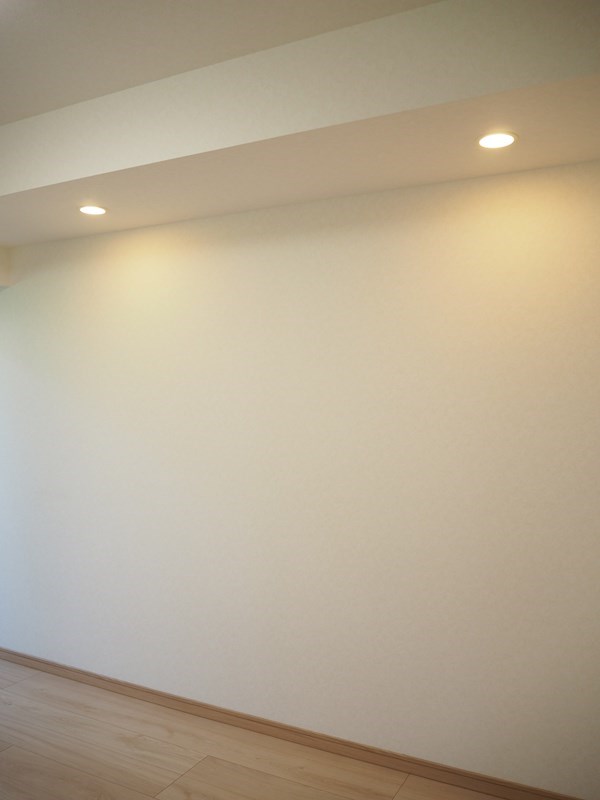 その他　ダウンライト