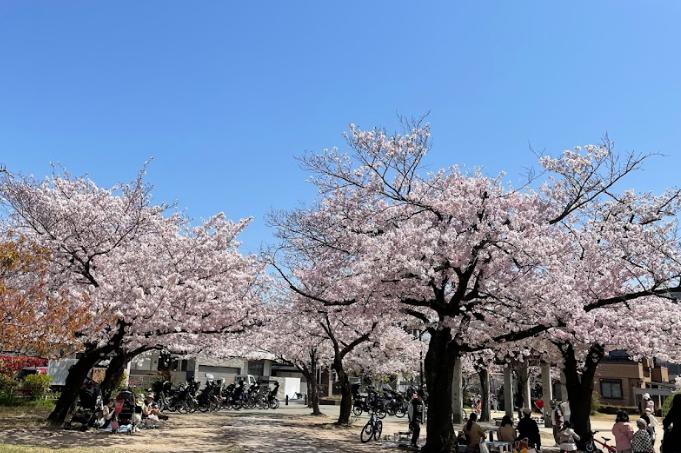公園　八ツ松公園（公園）まで1039m
