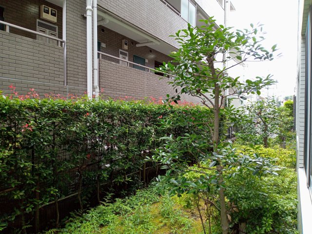 眺望　参考写真