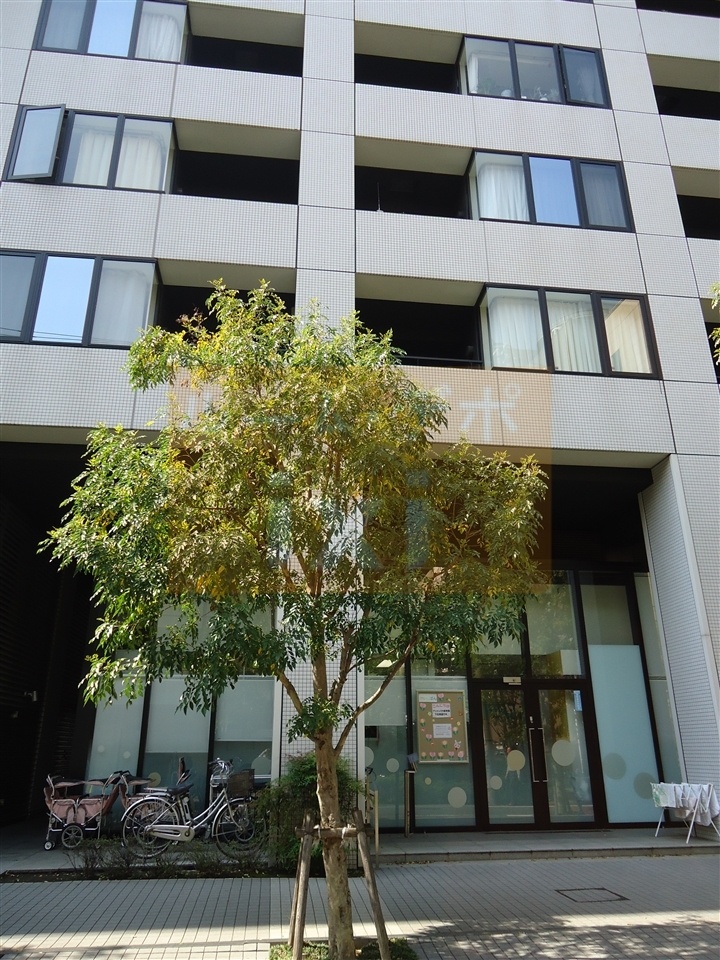 幼稚園・保育園　アンジェリカ保育園（幼稚園・保育園）まで2312m