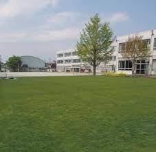 小学校　狛江第五小学校（小学校）まで1245m