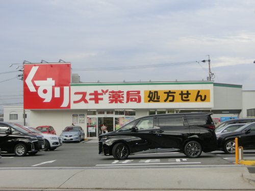 ドラックストア　スギ薬局 平和が丘店（ドラッグストア）まで1296m